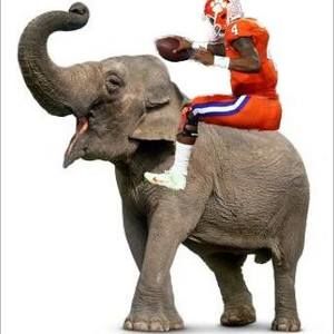 Meet your Posher, Jeremy